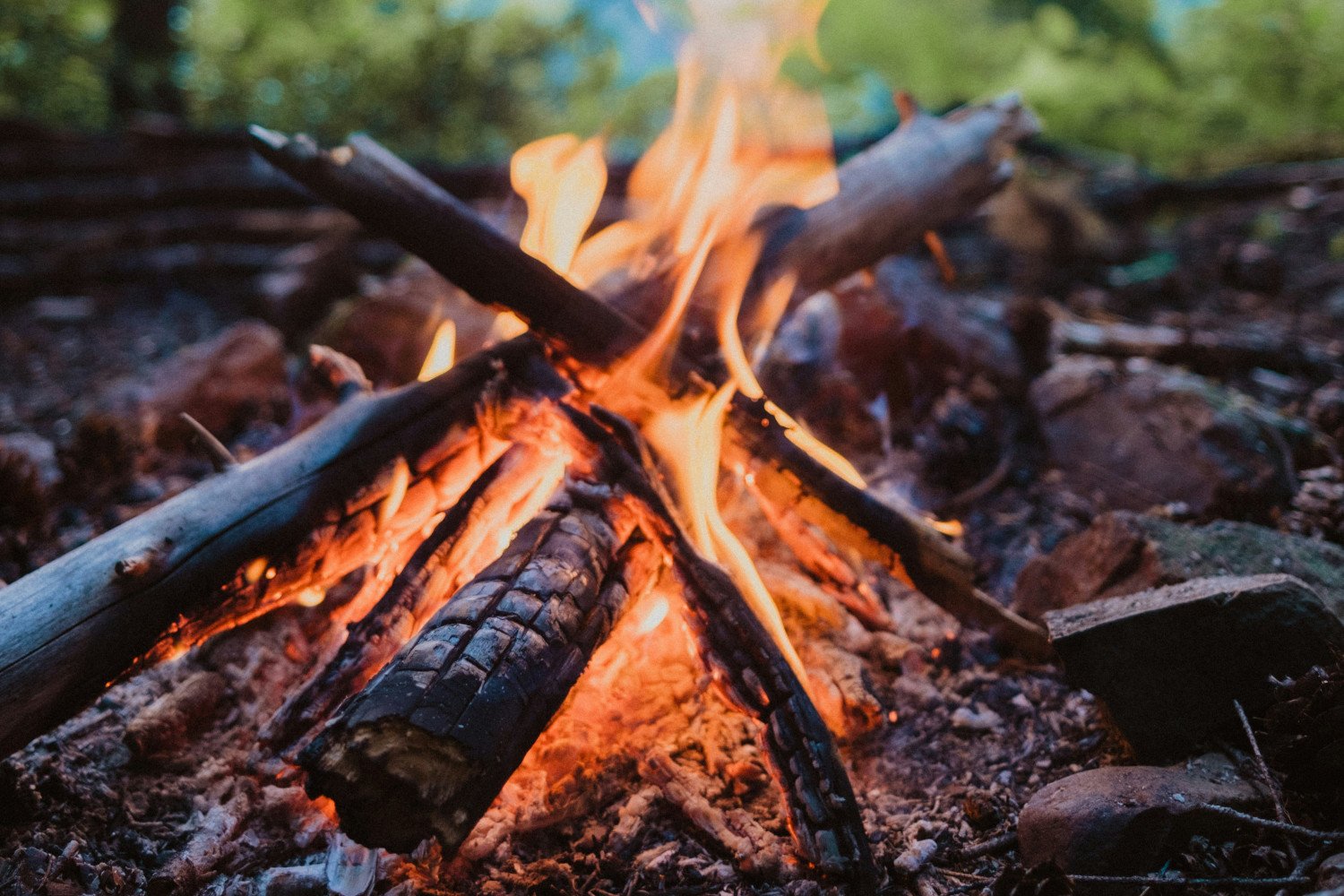 15 Autumn Campfire Picnic Food Ideas