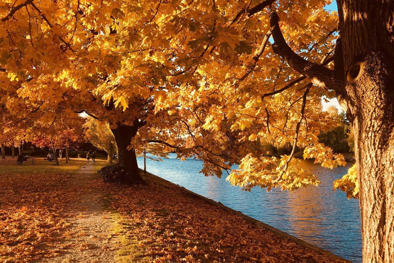 Inspiring Autumn Picnic Ideas