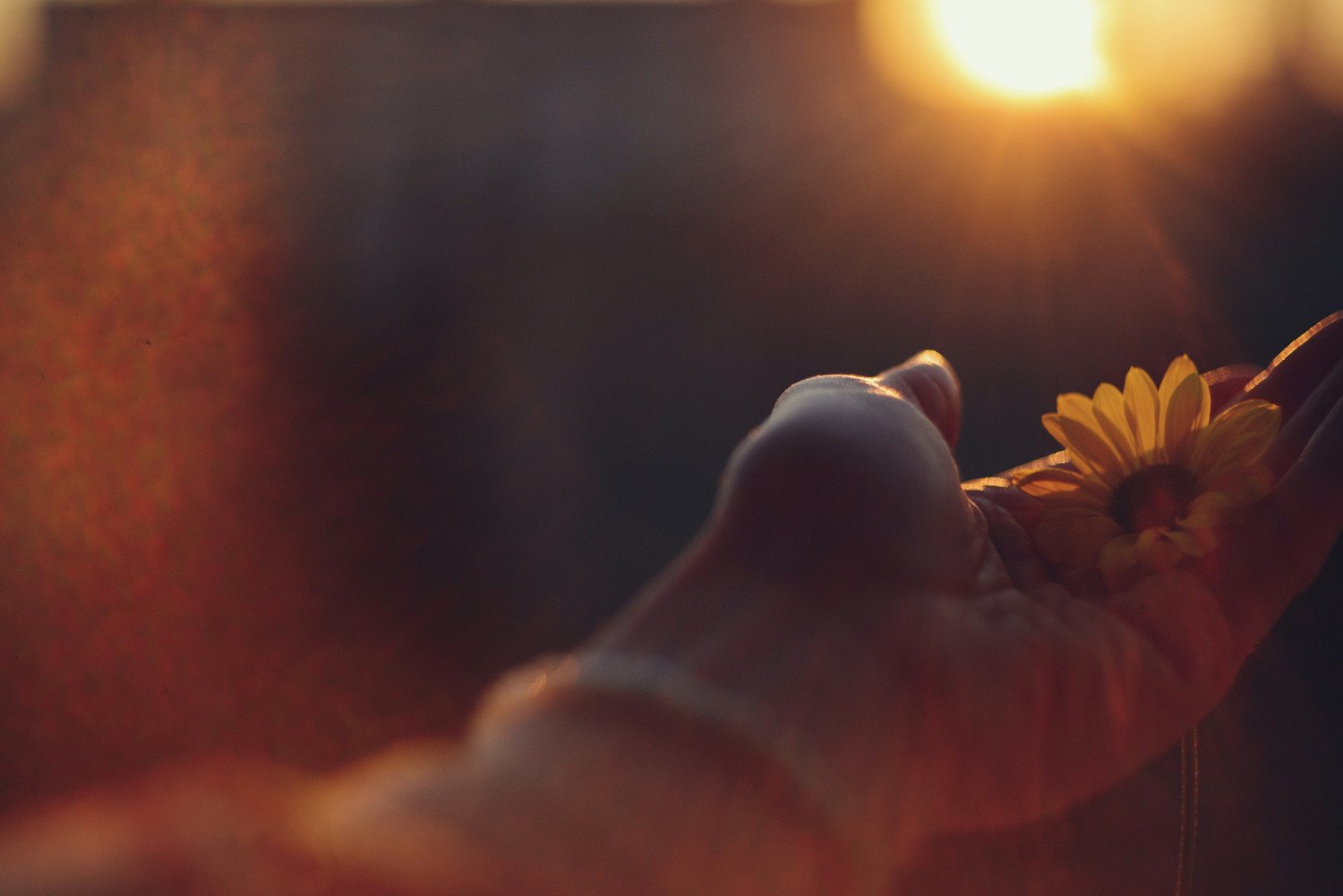 20 Romantic Autumn Songs