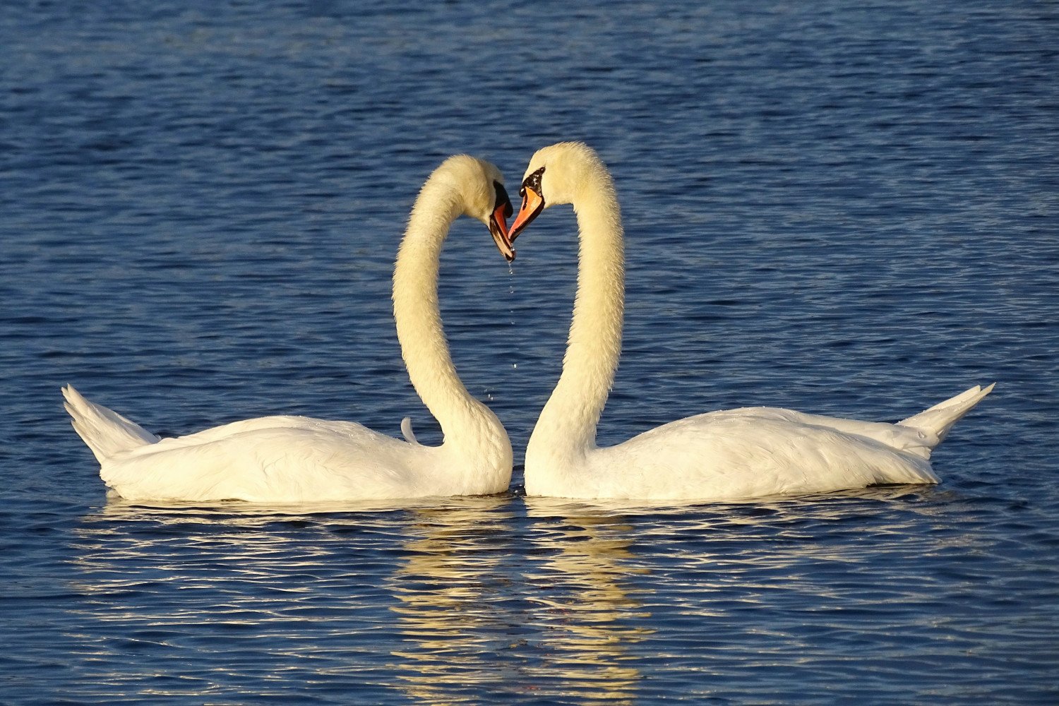 30 Fun Spring Outdoor Activities for Couples