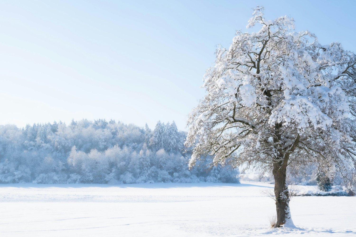 10 Winter Picnic Date Ideas