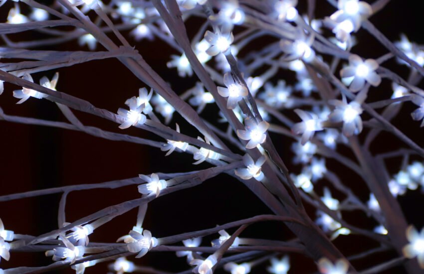 Winter Wonderland Party